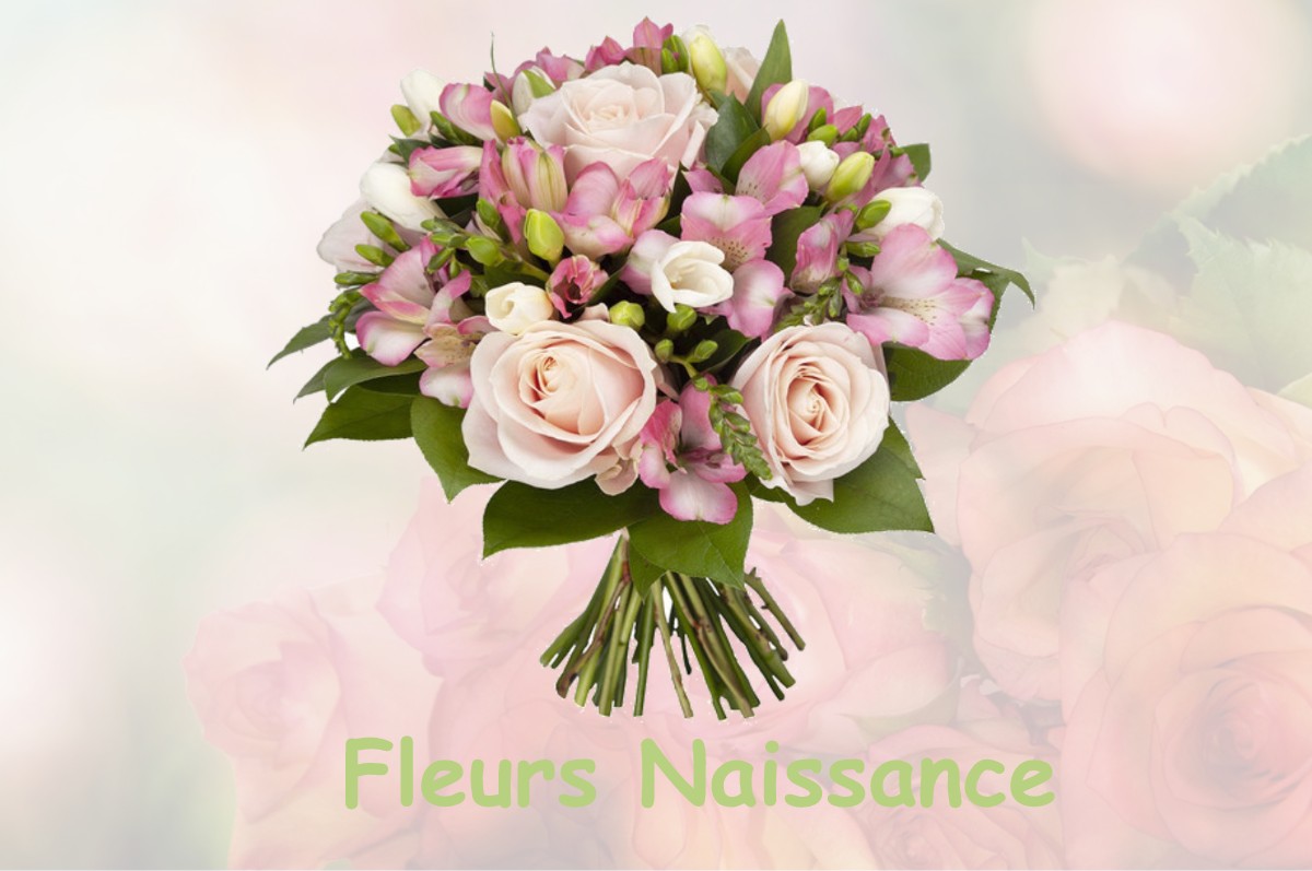 fleurs naissance BERNIERES-LE-PATRY
